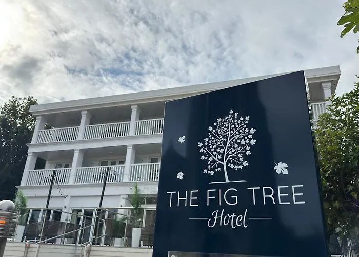 The Fig Tree Shanklin